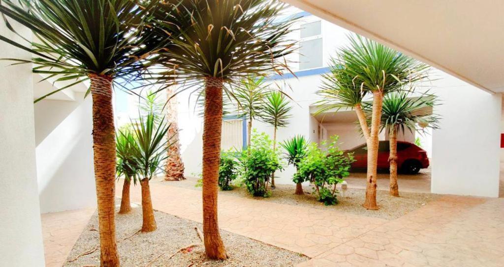 Dehesa de Campoamor  Apartment With Sea Views In Las Terrazas/Playa Flamenca מראה חיצוני תמונה